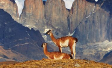 como-llegar-hacia-torres-del-paine