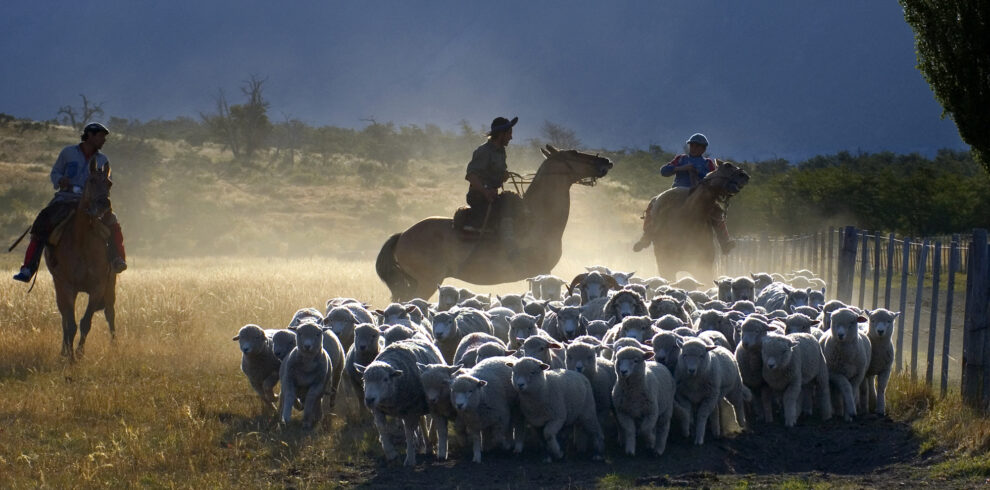 Luis Franke